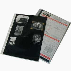 Albox archival 12x9 sleeves with black card inserts (10)